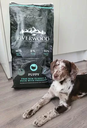 Riverwood Puppy - Kalkoen / Eend / Fazant  Riverwood Puppy - Kalkoen / Eend / Fazant